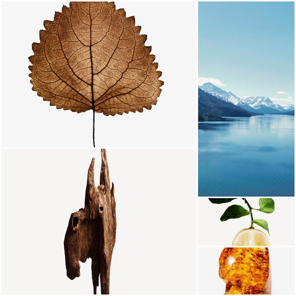 Quadrification